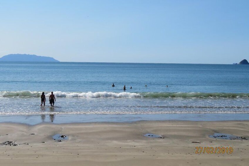 Coromandel Coastal Walkway Day Tour ex Coromandel Town