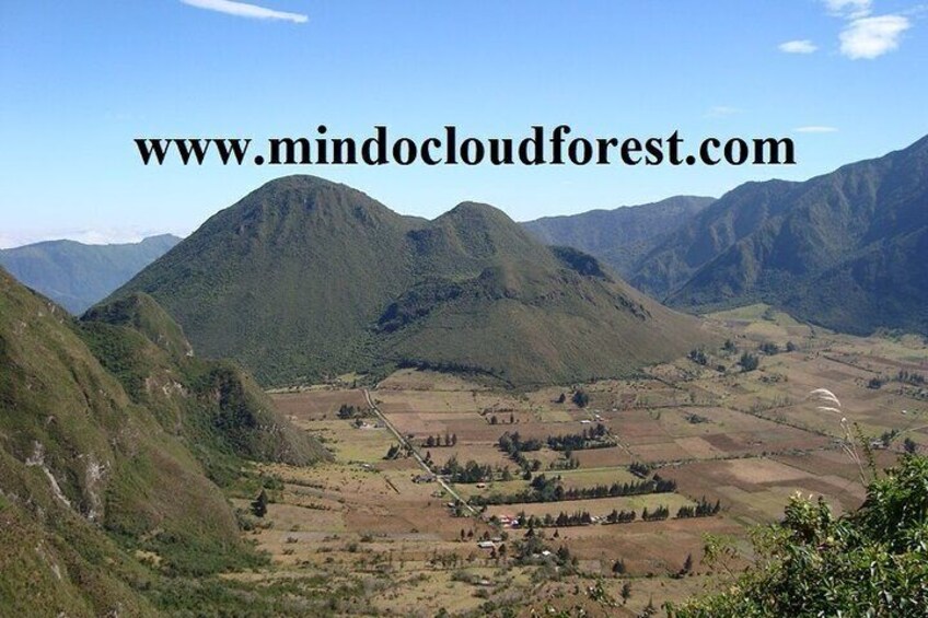 MindoCloudForest PrivateDayTour by Richard Hernandez-Customizable