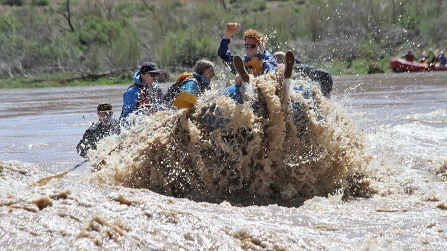 Riding the Bull through Rocky Rapid with Paddle Moab