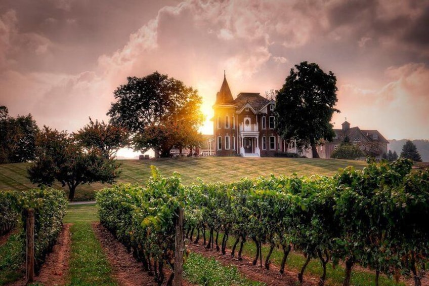 Ultimate Wine Country and Niagara Falls Tour with Lunch
