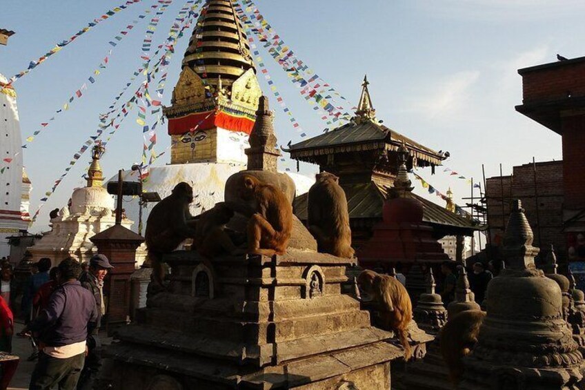 Private Kathmandu Sightseeing Day Tour
