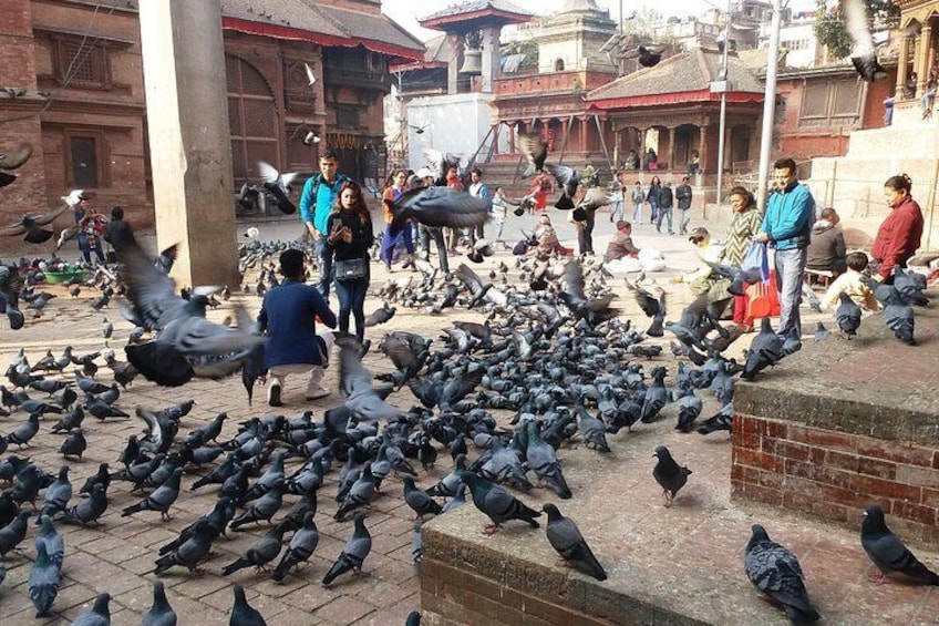 Sightseeing Day Tour In Kathmandu