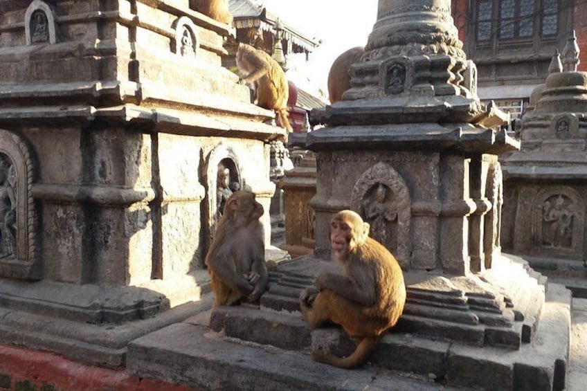 Swayambhunath 'Monkey Temple'