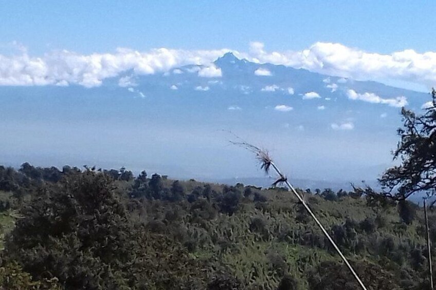Mount Kenya View