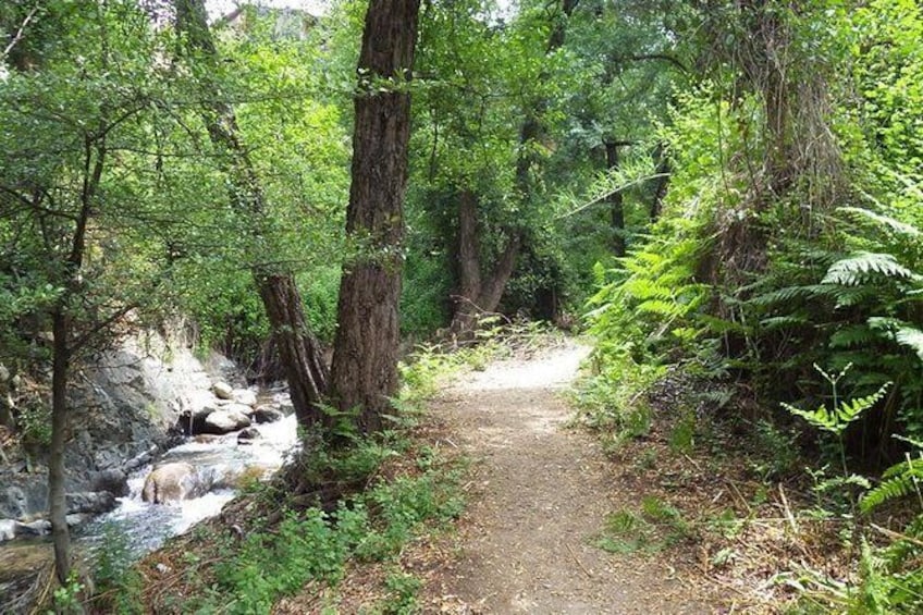 Show item 5 of 6. A short walk next to the stream at Kakopetria village