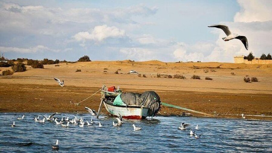 Fayoum, day tour fayoum oasis, day trip fayoum oasis