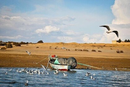 Dagtocht naar Fayoum Oasis en watervallen van Wadi El-Rayan vanuit Caïro