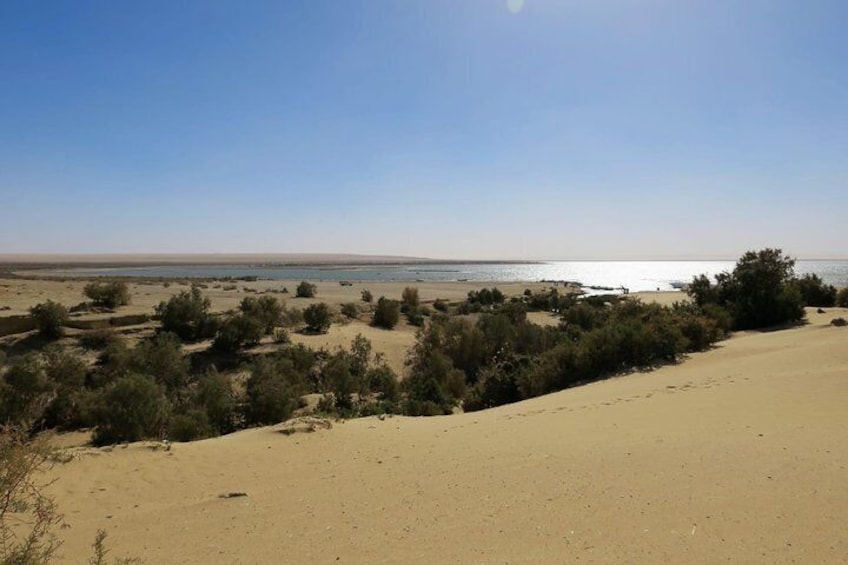 Wadi El Rayan, Wadi El Rayan waterfalls, Fayoum, Day trip to Fayoum from Cairo, Fayoum and Wadi El Rayan day trip, Cairo day tour to Fayoum, Deluxe Travel Egypt, Deluxe Tours Egypt