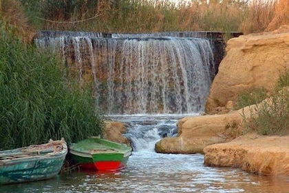 Full-Day Fayoum Oasis and Waterfalls of Wadi El-Rayan Tour from Cairo