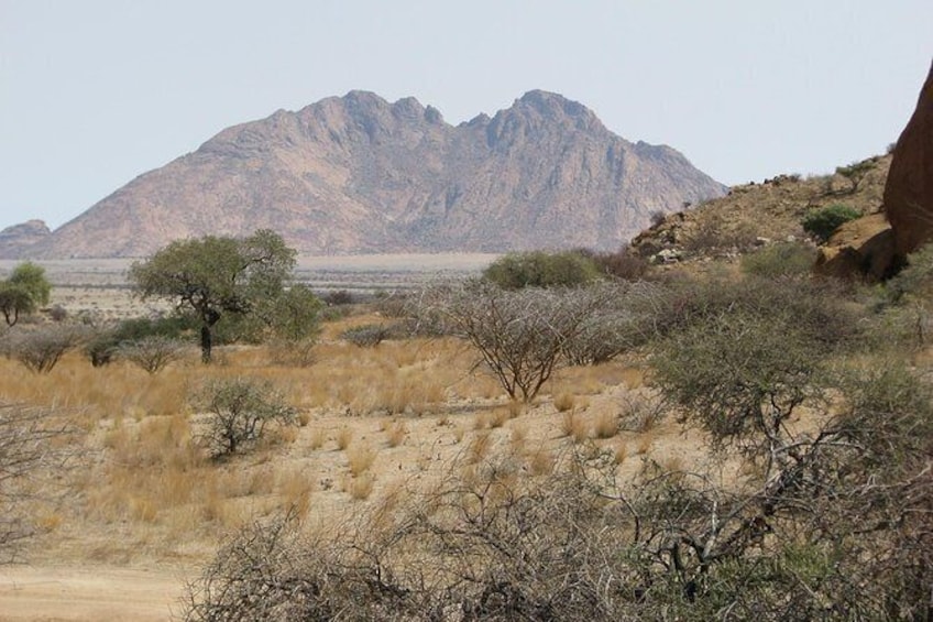 Show item 4 of 9. Spitzkoppe - Day Tour to the Spitzkoppe Mountain from Swakopmund