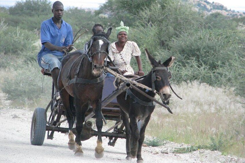 Locals travelling per Donkey Cart