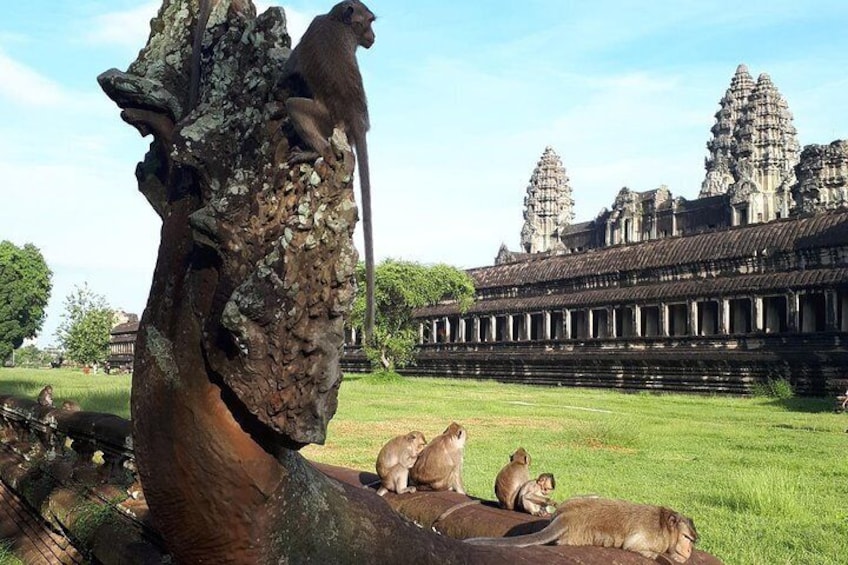 One Day Angkor Temple Tour with Sunrise