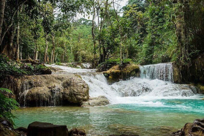 Private Tour: Pak Ou Cave and Kuang Si Waterfall Tour from Luang Prabang