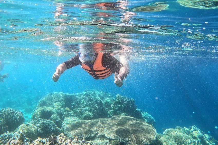A private snorkel tour to Cebu’s Hilutungan