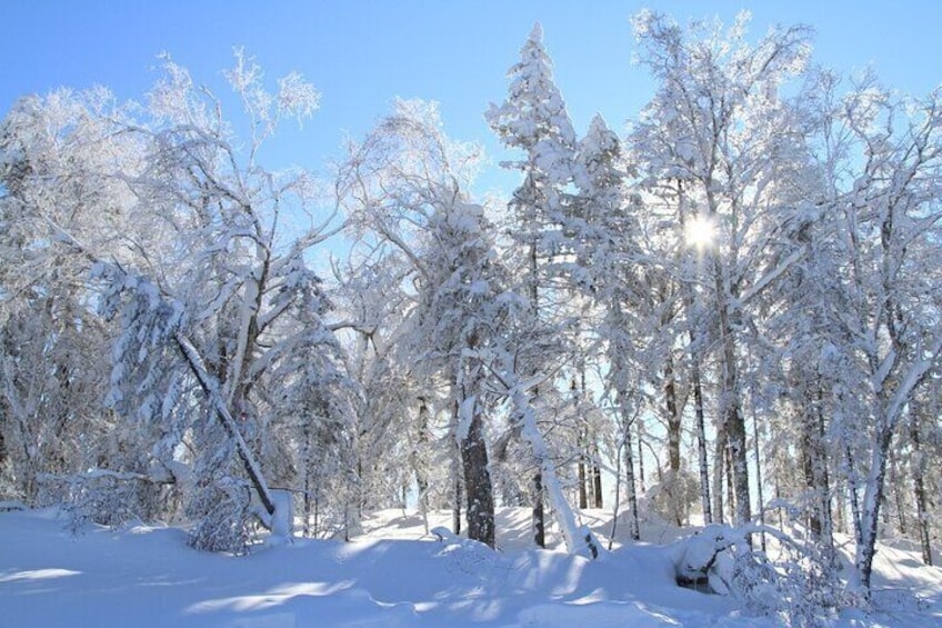 Harbin 2 Days Private Tour to Yabuli Ski and China Snow Town