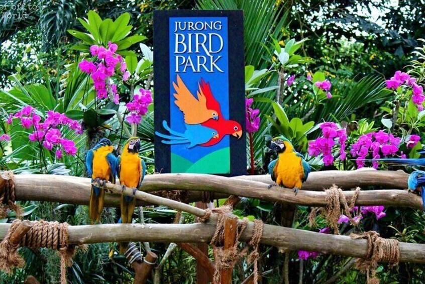 Bird Park