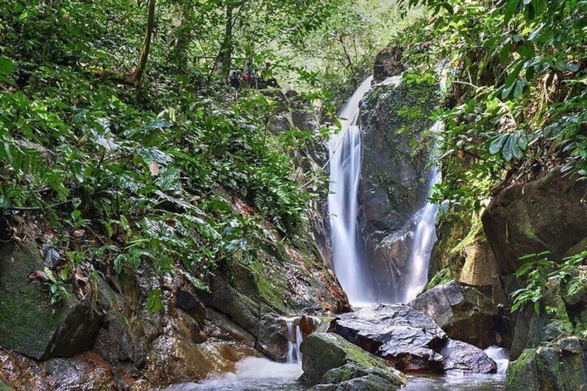 Templer Park