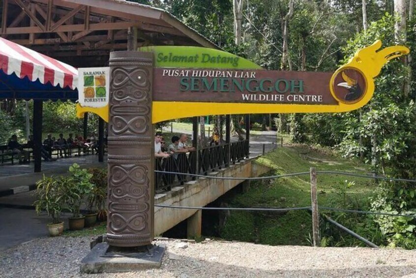 Sarawak Orangutan Semenggoh Wildlife Centre Tour