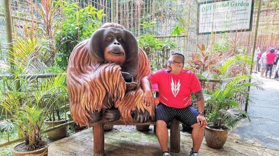 Orang Utan Island