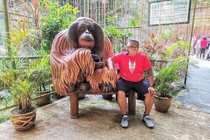 Ipoh City Tour With Orang Utan Island