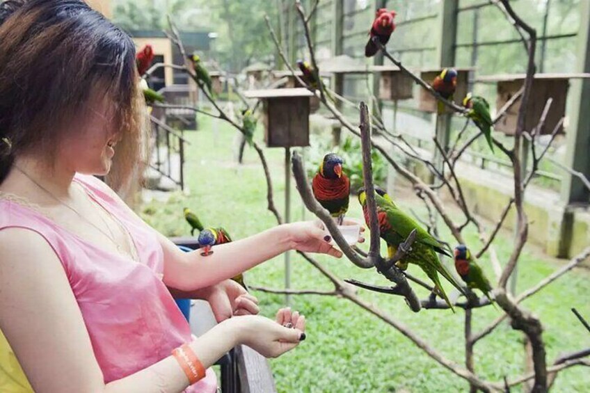 Kuala Lumpur Bird Park With Return Transfers 