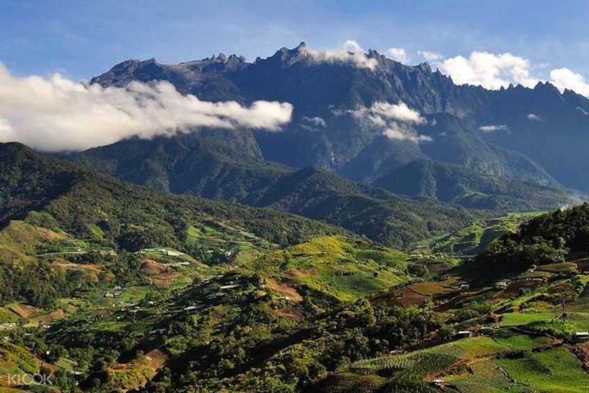 Kinabalu National Park Tour From Kota Kinabalu