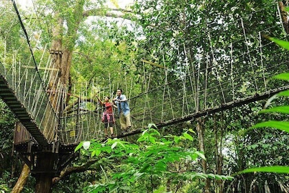 Kinabalu National Park Tour From Kota Kinabalu