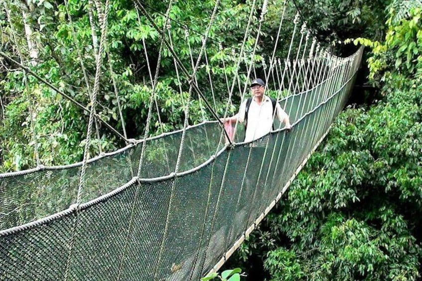 Kinabalu Park