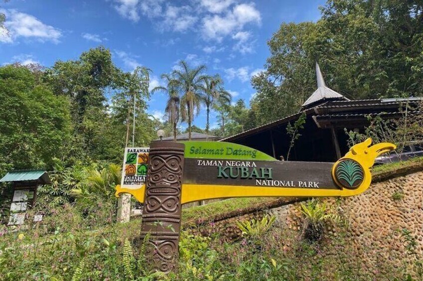 Night Frogs Tour at Kubah National Park