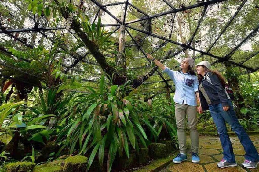 Kinabalu National Park