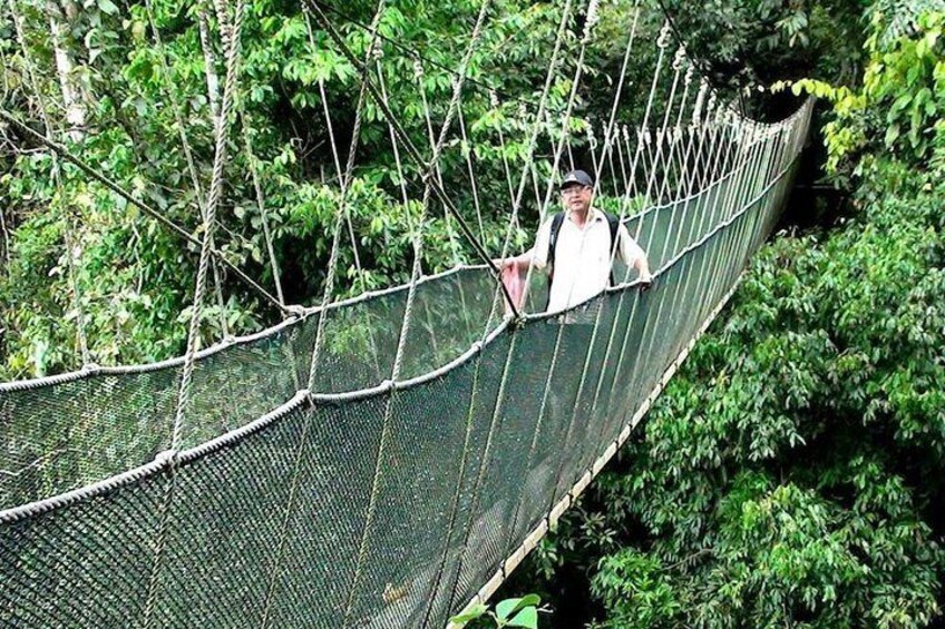 Kinabalu National Park