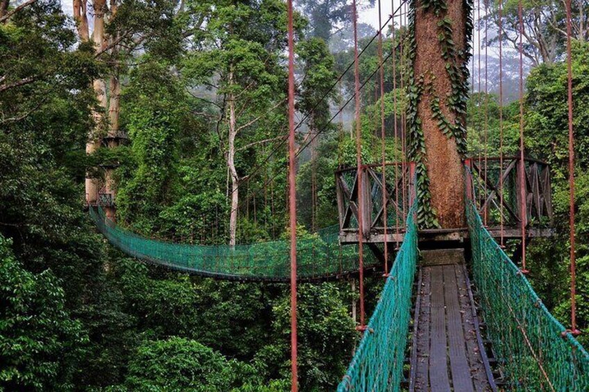 Kinabalu Park
