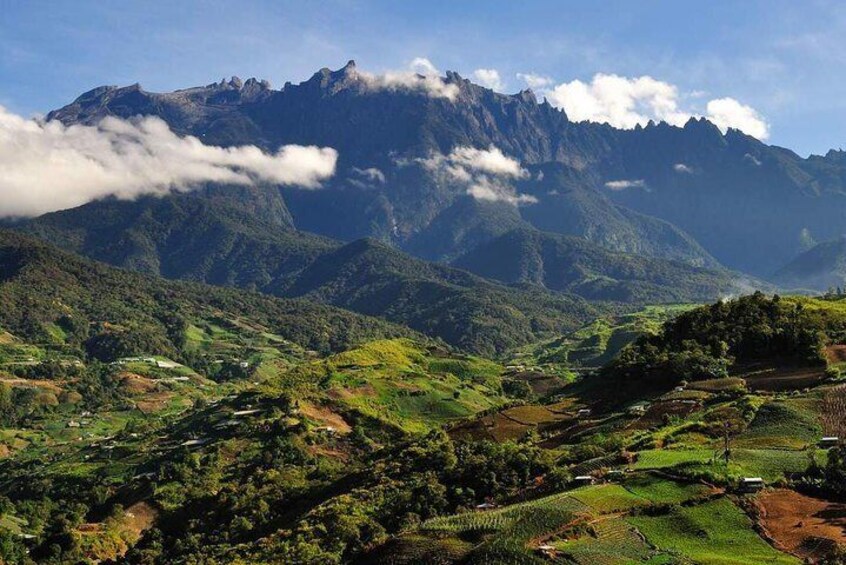 Kinabalu National Park