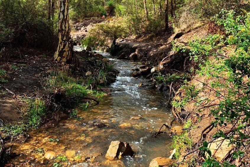 Perth Hills Explorer (Private) Day Tour