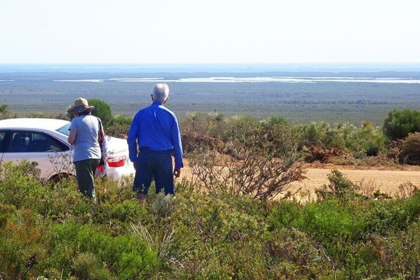 Roadtrips showcase broad landscape and flowers.