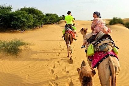 Nomadic Non-Touristic Overnight Tour & camel Safari