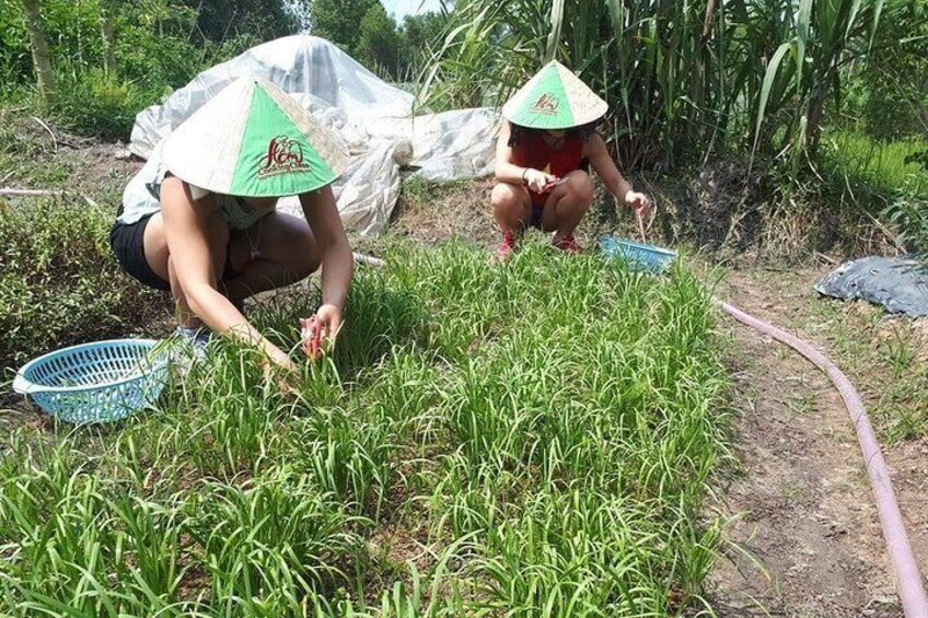 Market to Farm to Table Cooking Class in saigon