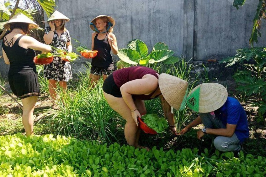 Unique farm to Table cooking class in Saigon