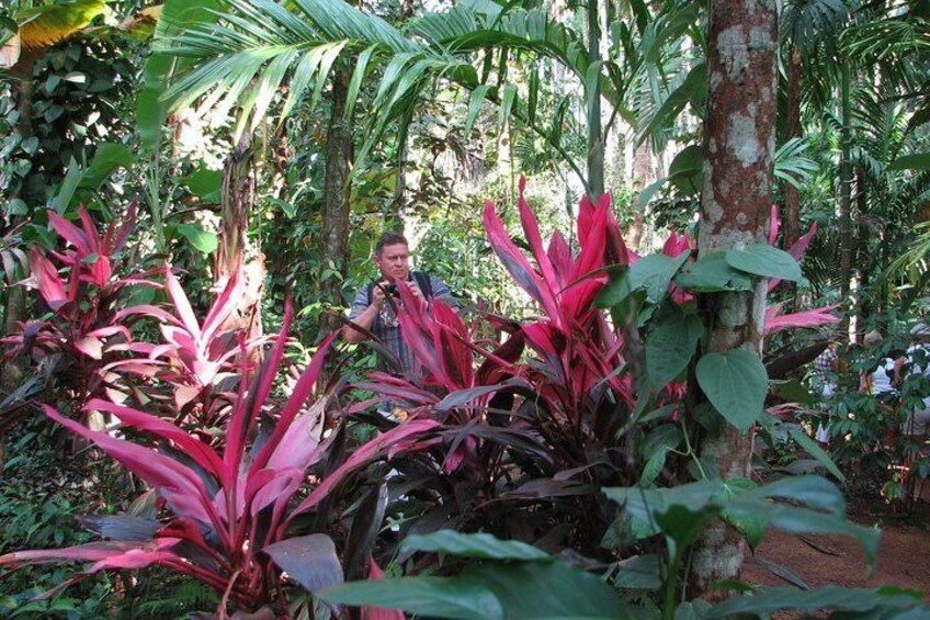 A Dudhsagar Falls and Spice Plantation, Goa - A Private Car Tour With Lunch