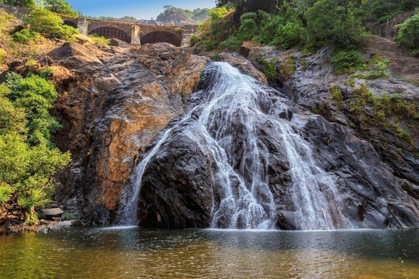 A Dudhsagar Falls and Spice Plantation, Goa - A Private Car Tour With Lunch