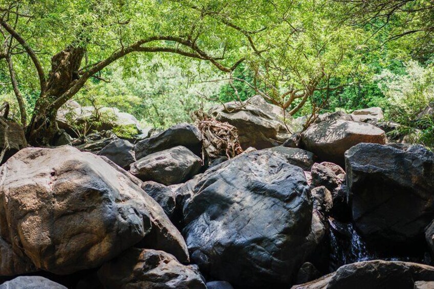 A Dudhsagar Falls and Spice Plantation, Goa - A Private Car Tour With Lunch