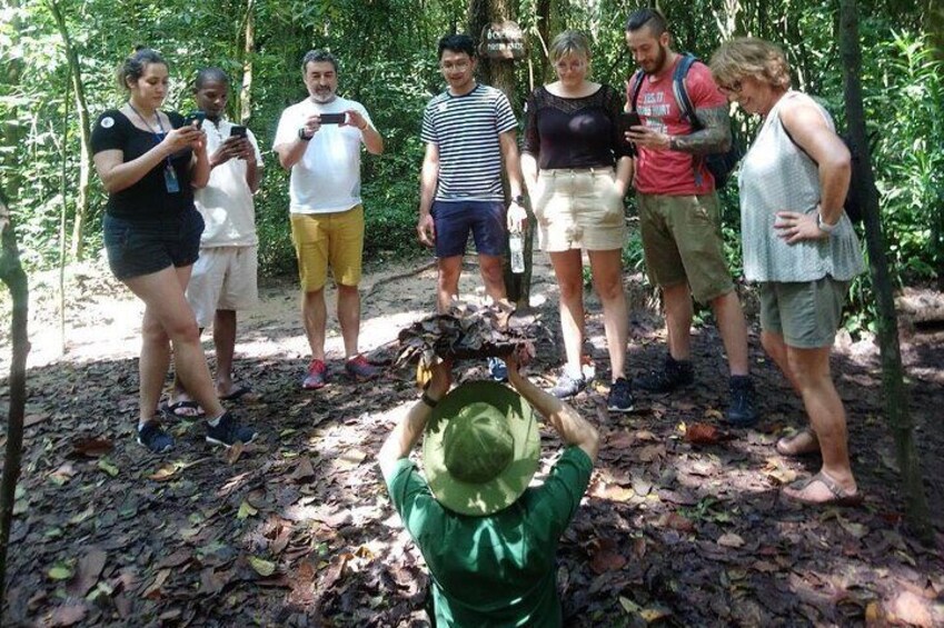 Cu Chi Ben Duoc Tunnels and Market Tour