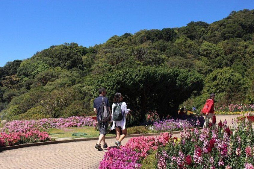 Garden Surrounded, Twin Royal Stupas, Doi Inthanon,