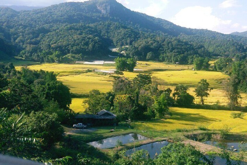 Mae Klang Luang, Doi Inthanon, Chiang Mai
