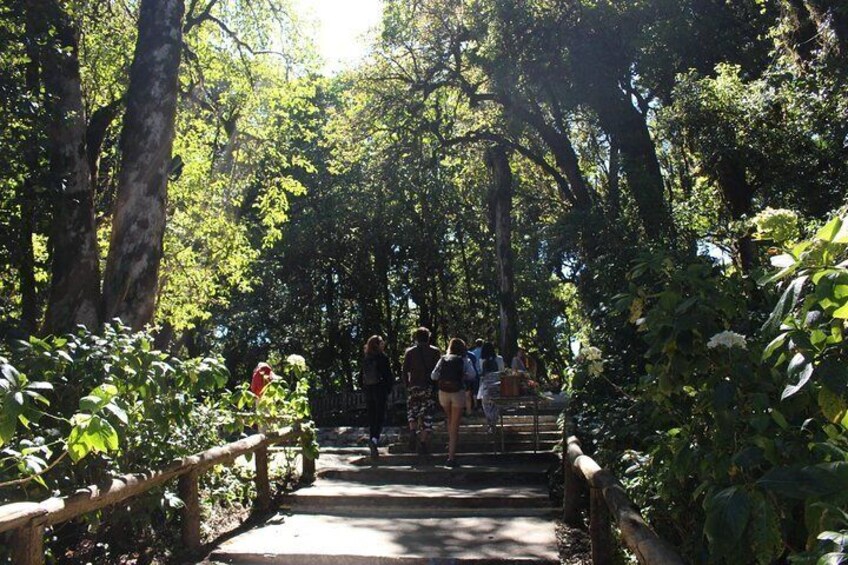 Doi Inthanon, Chiang Mai