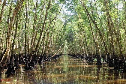 Mekong Delta to Phnom Penh 3 days 2 nights