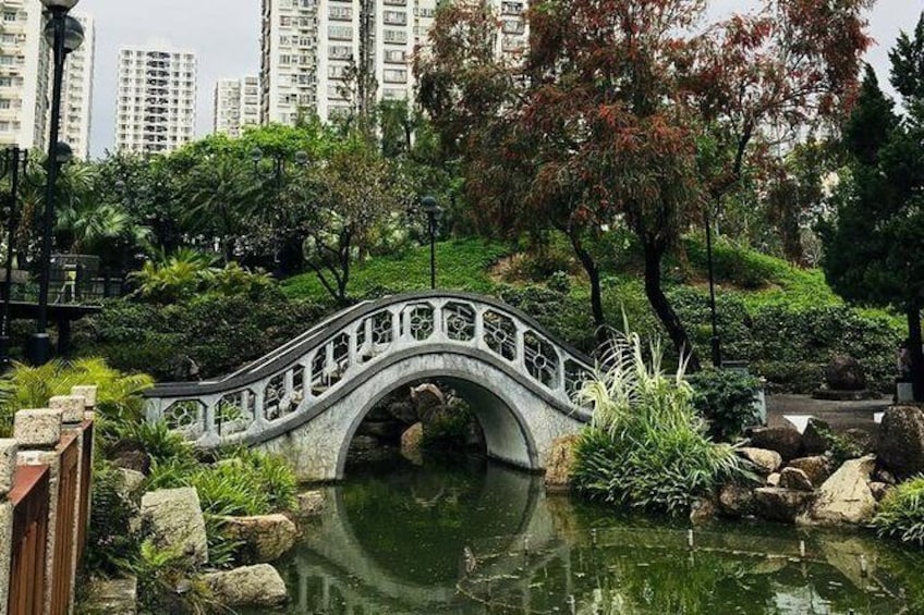 Show item 2 of 9. Hong Kong 4-Hour Heritage Bike Tour - Culture & Food