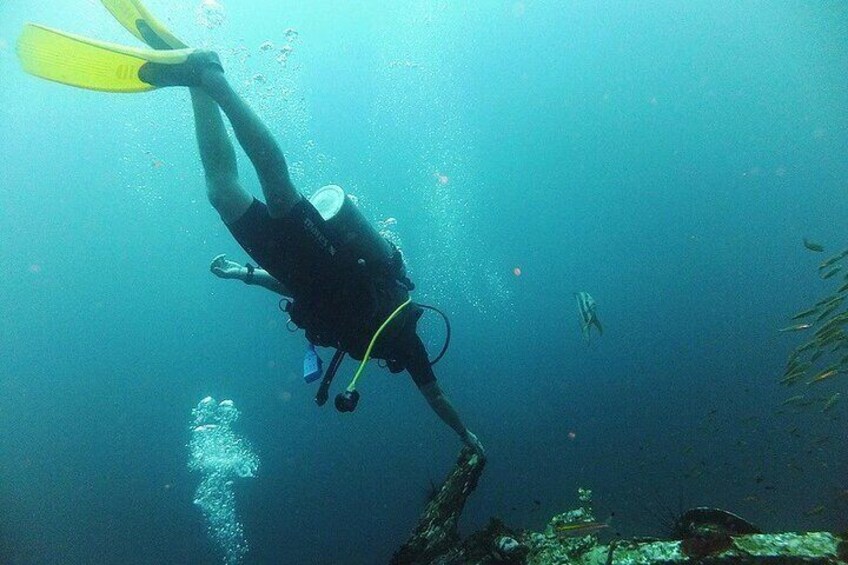 Mantanani Island Snorkeling or Diving from Kota Kinabalu