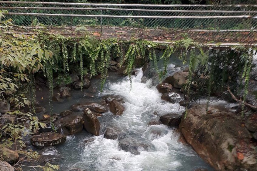 Full-Day Kinabalu Park and Poring Hot Spring