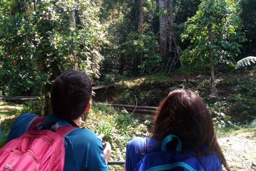 Semenggoh Orangutan Centre from Kuching